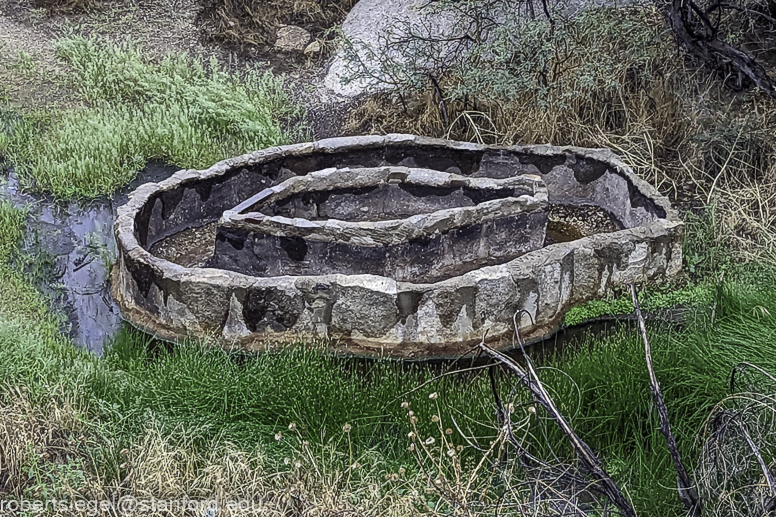 Desert Biogeography of Joshua Tree National Park